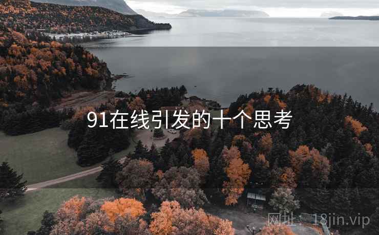 91在线引发的十个思考