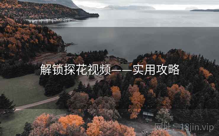 解锁探花视频——实用攻略