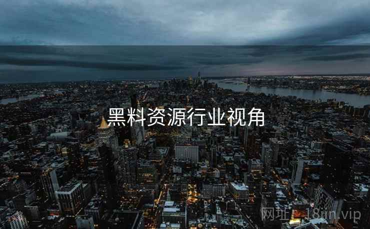 黑料资源行业视角