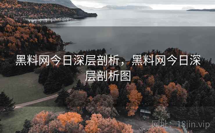 黑料网今日深层剖析，黑料网今日深层剖析图