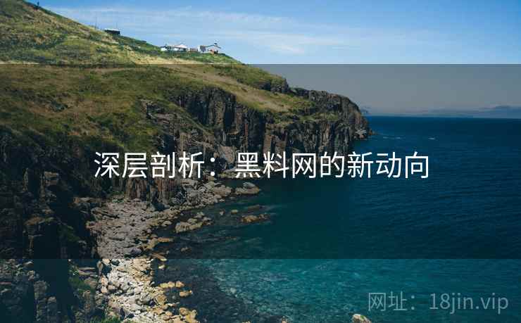 深层剖析：黑料网的新动向