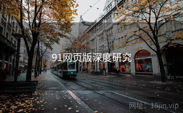 91网页版深度研究