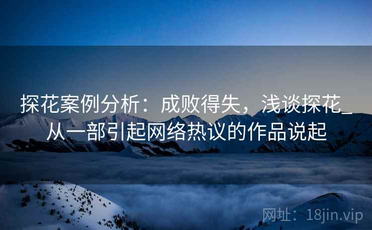 探花案例分析：成败得失，浅谈探花_从一部引起网络热议的作品说起