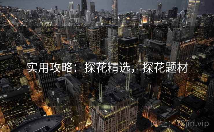 实用攻略：探花精选，探花题材