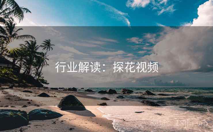 行业解读：探花视频