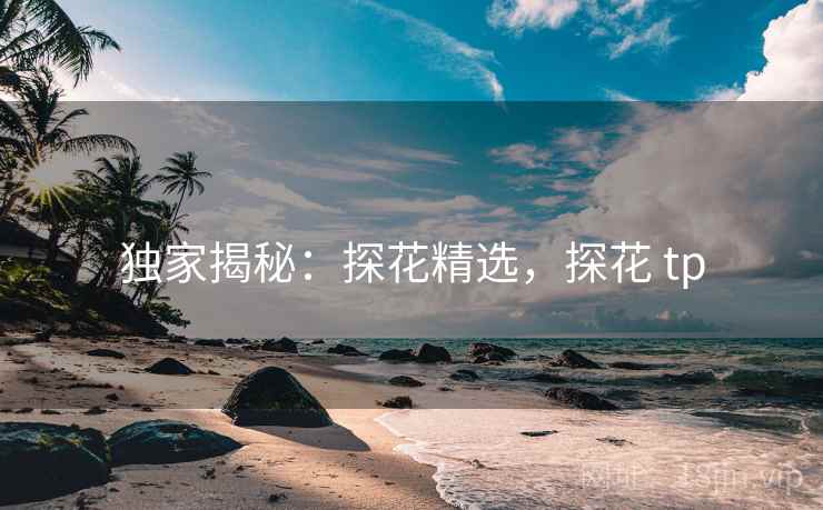 独家揭秘：探花精选，探花 tp