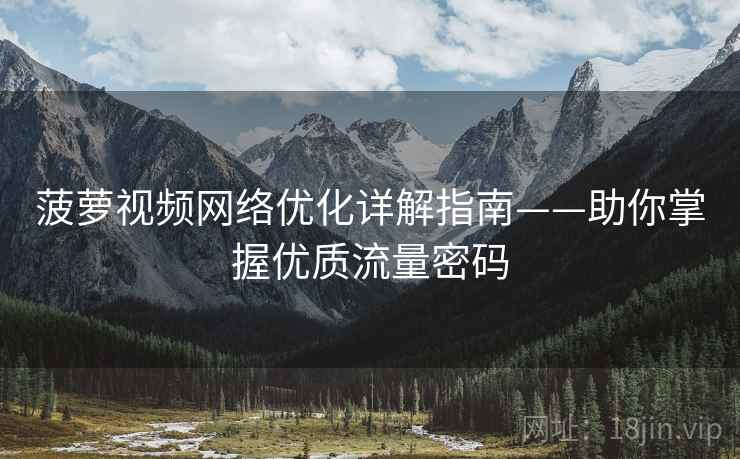 菠萝视频网络优化详解指南——助你掌握优质流量密码