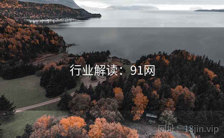 行业解读：91网