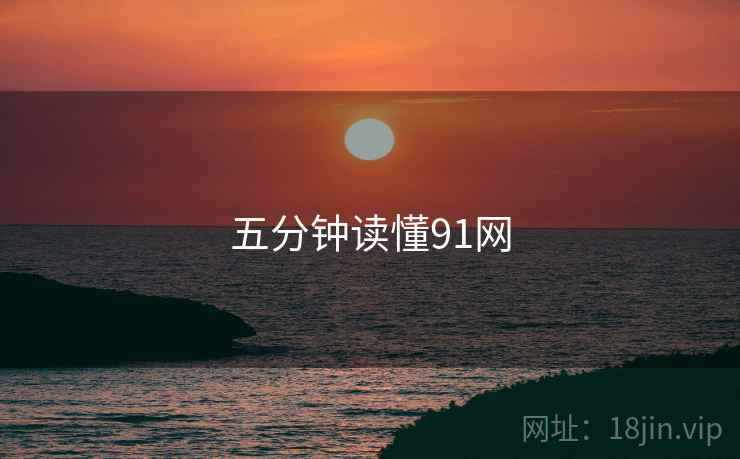 五分钟读懂91网