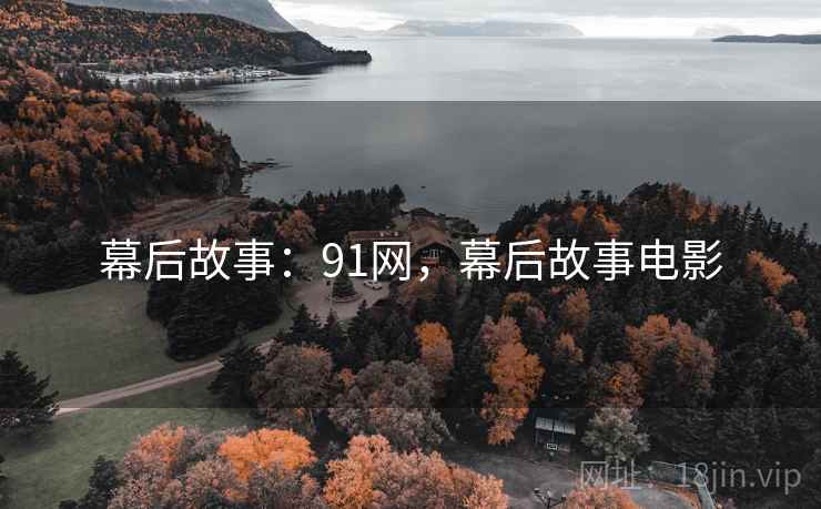 幕后故事:91网,幕后故事电影