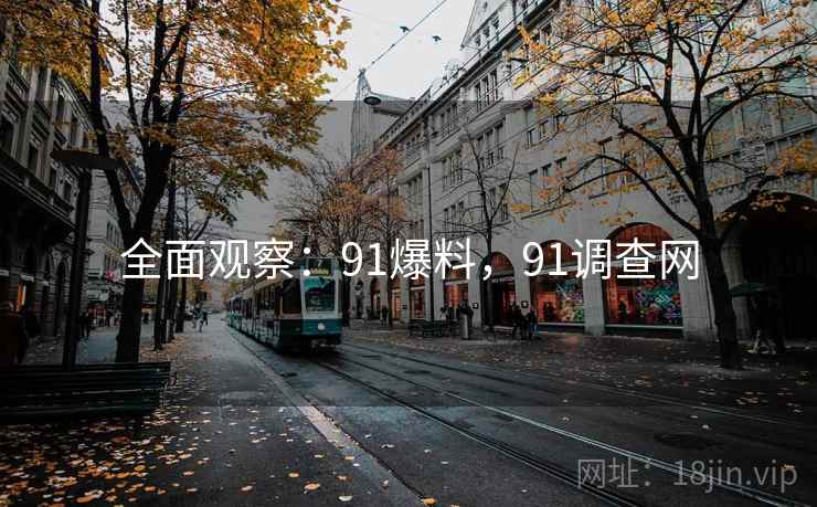 全面观察：91爆料，91调查网